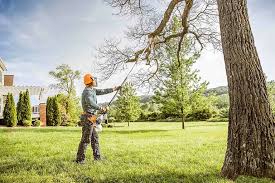 How Our Tree Care Process Works  in  Kronenwetter, WI